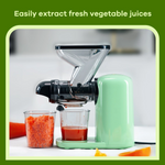 Load image into Gallery viewer, Mini Slow Masticating Juicer Machines, Cold Press Fruits &amp; Vegetables Juice Extractor w/ Reverse Function, Easy to Clean, Quiet Motor
