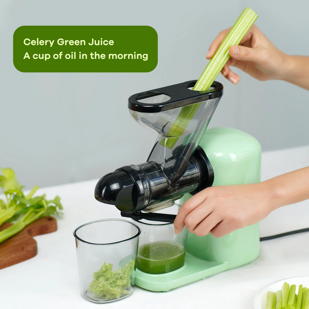 Mini Slow Masticating Juicer Machines, Cold Press Fruits & Vegetables Juice Extractor w/ Reverse Function, Easy to Clean, Quiet Motor