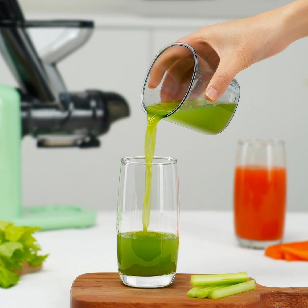 Mini Slow Masticating Juicer Machines, Cold Press Fruits & Vegetables Juice Extractor w/ Reverse Function, Easy to Clean, Quiet Motor